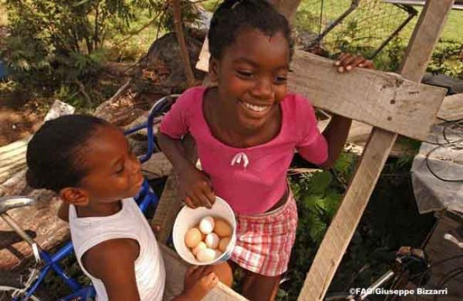 UN agriculture chief lauds ‘key’ role of family farmers in food-secure future