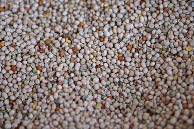 Uganda: UN-backed investments in small farmers yield impressive outcomes