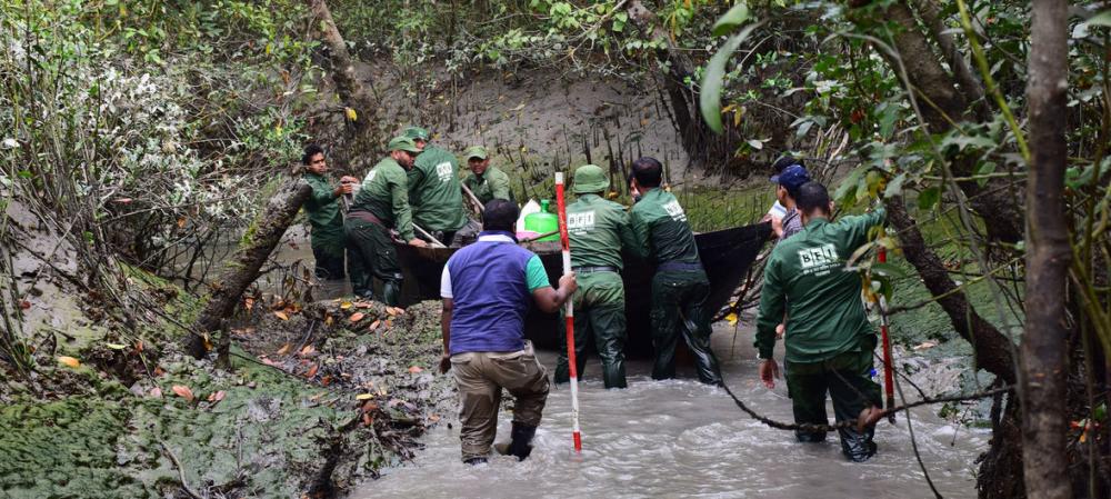 Bangladesh: World Heritage Site threatened by &lsquo;heedless industrialisation&rsquo; - UN expert