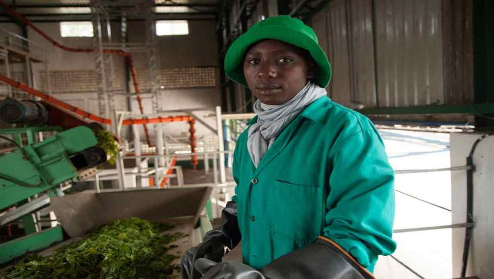 Lift in global economy prompts opportunities to tackle deep-rooted development issues &ndash; UN