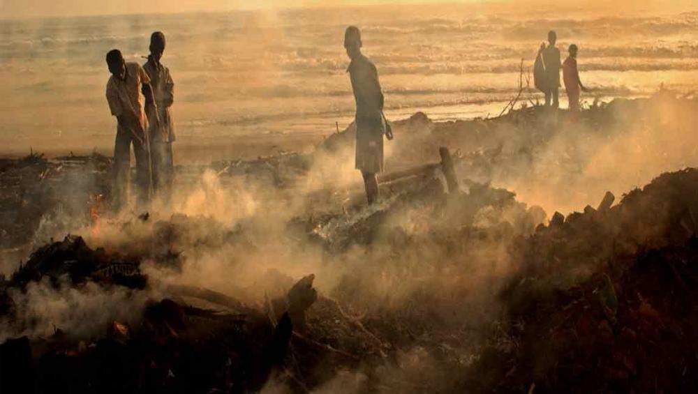 Disasters cost billions in agricultural losses, poor farmers bear brunt &ndash; UN report