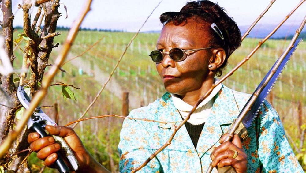 Trade pact could boost Africa&rsquo;s income by as much as $450 billion: World Bank