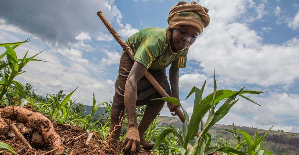 Annual report: Pandemic recovery must be measured in &lsquo;human rather than economic terms&rsquo;