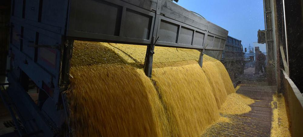 Guterres hails &lsquo;critical step forward&rsquo; on resuming Ukraine grain exports