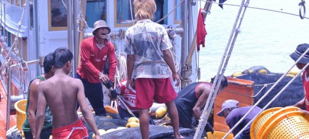 Asia on the move: Why millions are being driven out by job crises and failing services 