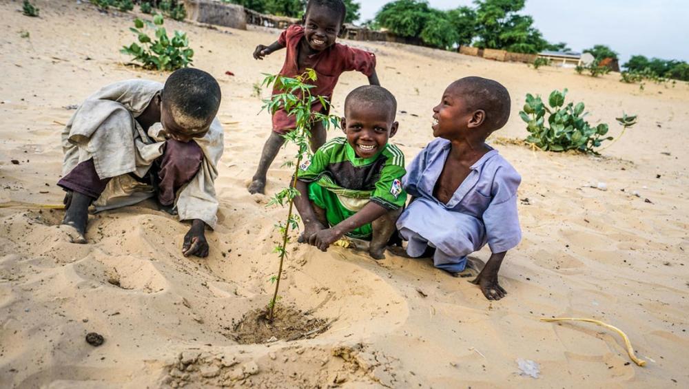 Preparing Africa for ravages of climate change &lsquo;cannot be an afterthought&rsquo; &ndash; COP24
