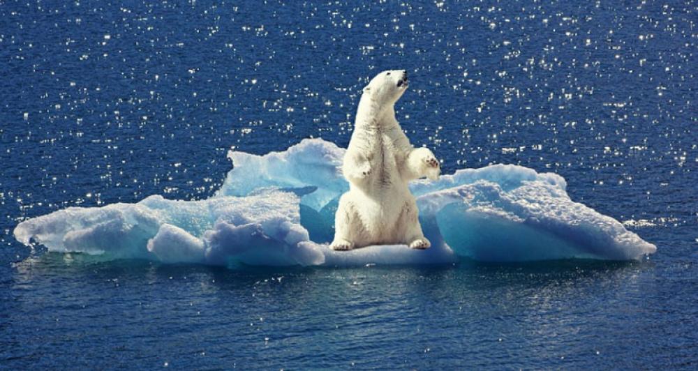 July marked the hottest month ever recorded: NOAA