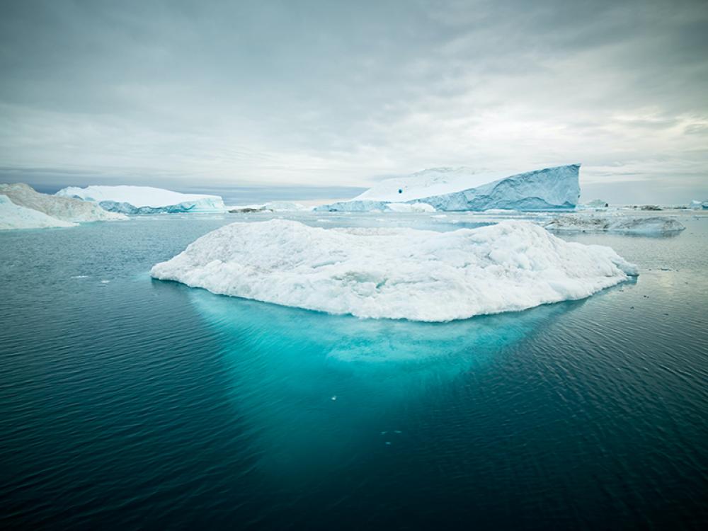 Study reveals increased West Antarctic ice sheet melting ‘unavoidable’