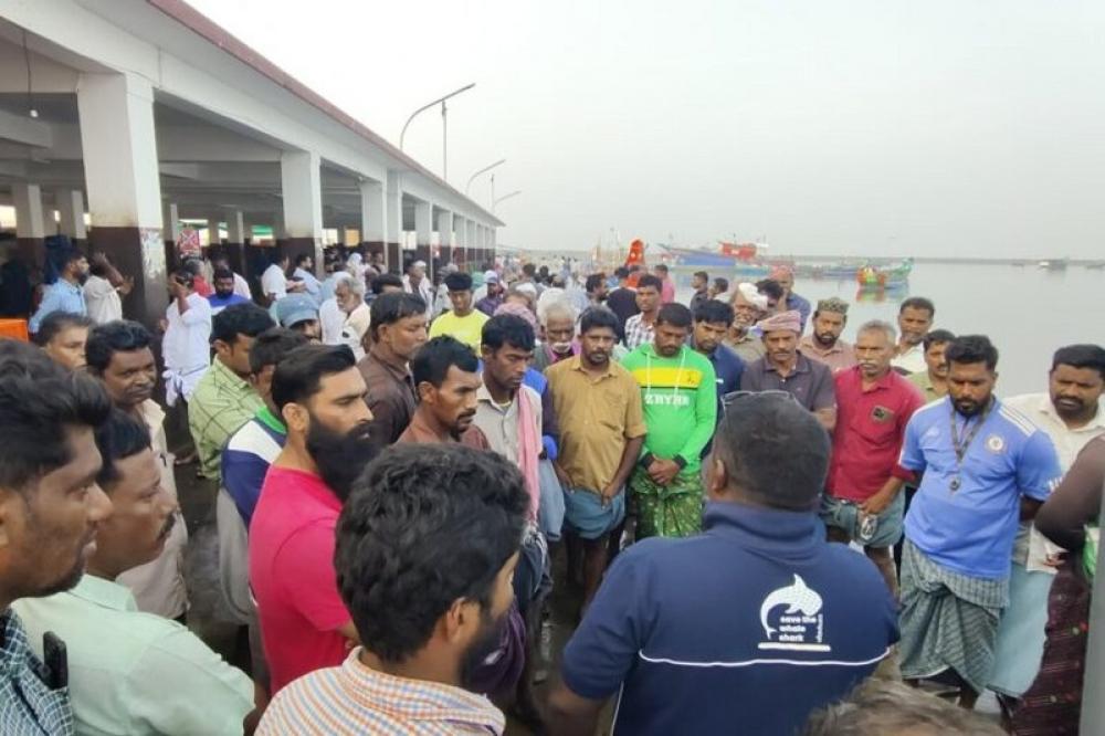 The work done by Wildlife Trust of India dates back to 2001, when they launched the Save the Whale Shark campaign, reaching people through street plays, public pledges, and school drives. That year, the whale shark was granted the highest protection under the Wildlife (Protection) Act. Photo: Wildlife Trust of India.