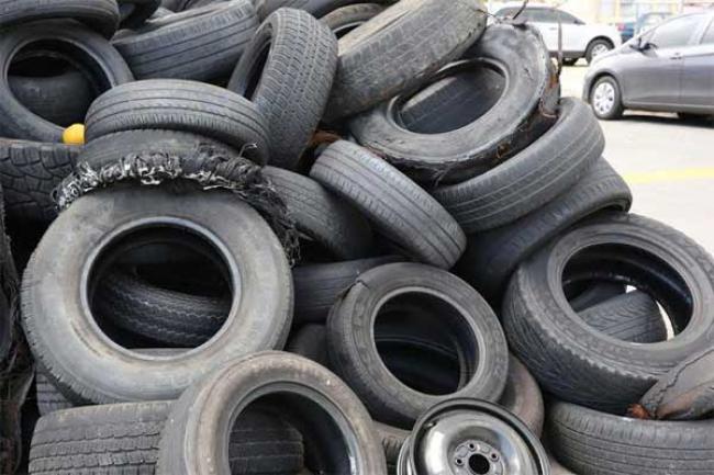 In Brazil, UN health chief calls for better coordination in fight against Zika