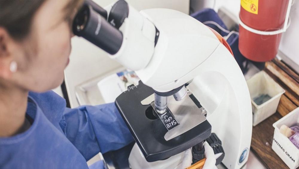 UN health agency steps up fight against &lsquo;invisible pandemic&rsquo; of antimicrobial resistance