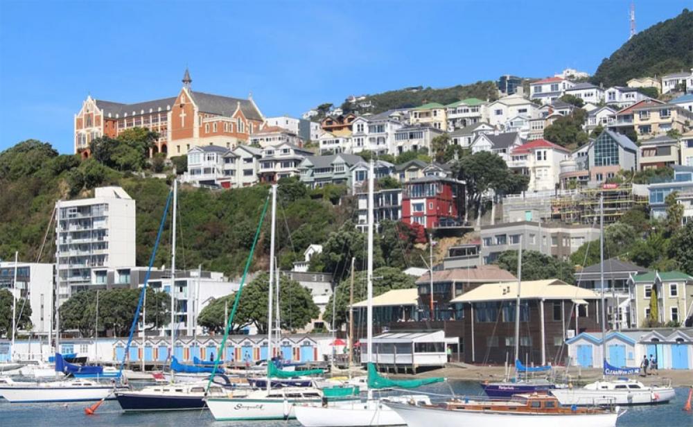 New Zealand reports 3 new cases of COVID-19 on election day