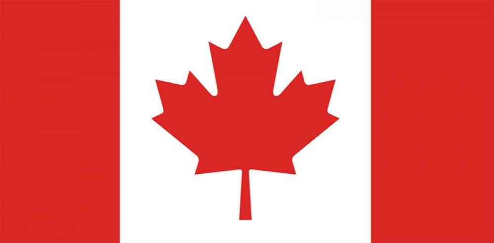 Canada targeting January for start of COVID-19 vaccine delivery: Distribution Czar