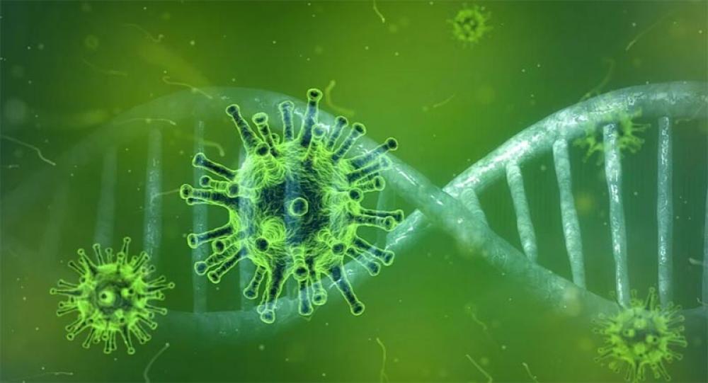 Researchers show how the COVID-19 virus triggers immune signaling &lsquo;storm&rsquo;