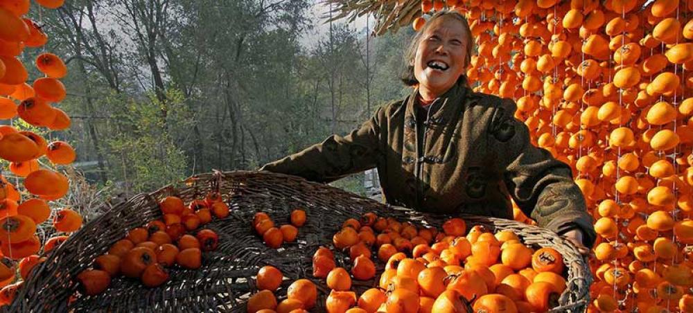 Time to make neglected area of mental health &lsquo;a global priority&rsquo;, urges Guterres