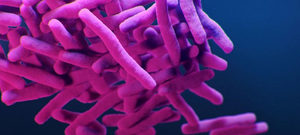 Reduce pollution to combat &lsquo;superbugs&rsquo; and other anti-microbial resistance
