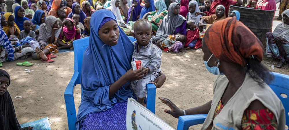 Displaced in northeast Nigeria &lsquo;knocking on door of starvation&rsquo;: WFP