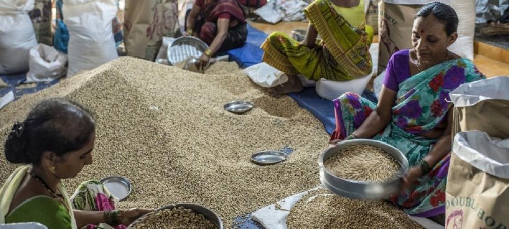 World&rsquo;s most vulnerable now paying even more, for less food: FAO