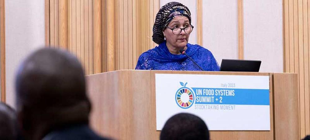 Africa&rsquo;s food &lsquo;transformation&rsquo; impossible without game changing solutions: FAO