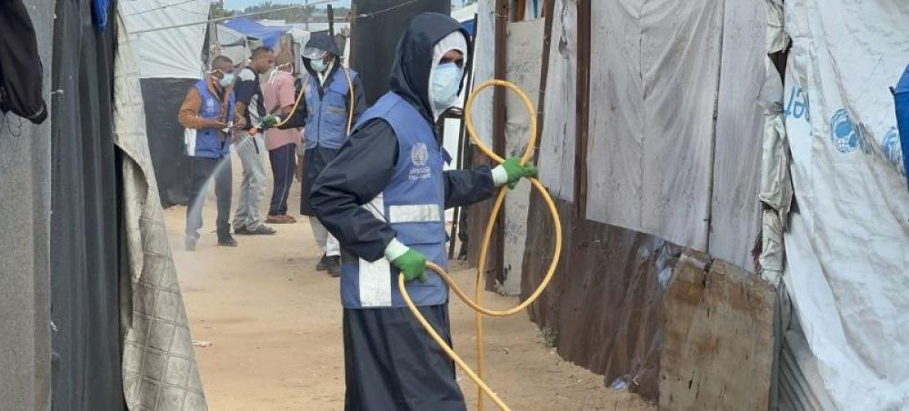 Israel-Palestine Crisis: Plague of rats and insects provide latest challenge for war-shattered Gazans