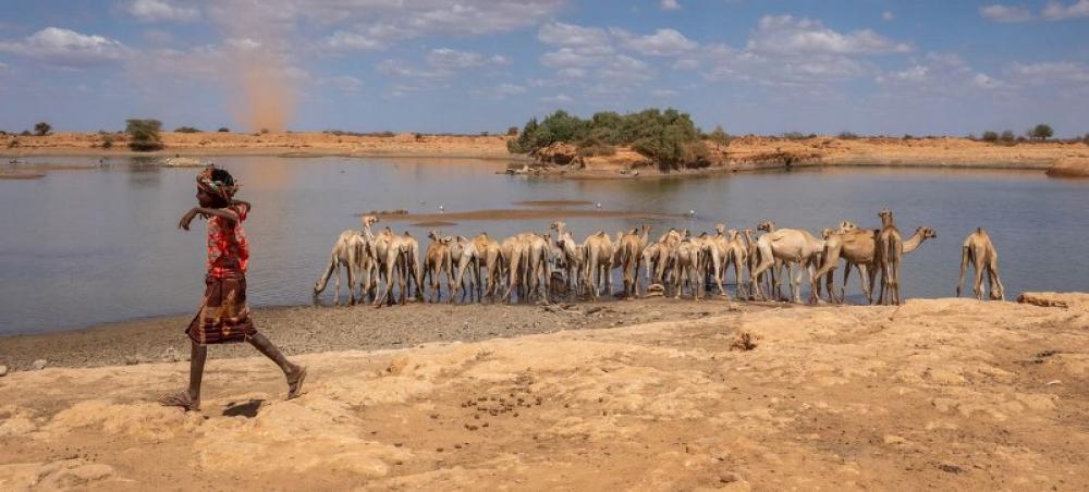 Hunger stalks Ethiopia as UN aid agency halts support amid funding cuts