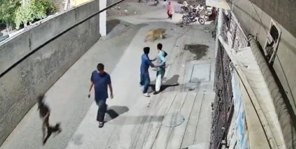 Authorities seize 13 illegally kept lions in Pakistan, arrest five individuals days after Lahore attack