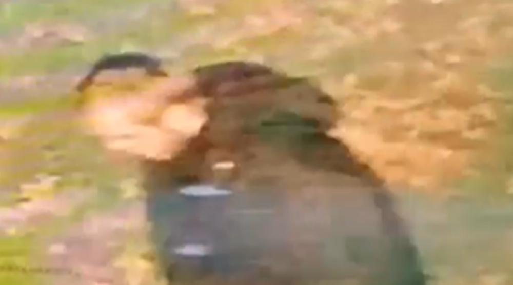 UK: Indian-origin woman raped in West Midlands in 