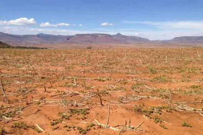 El Niño puts more than 26 million children at risk in Eastern and Southern Africa – UNICEF