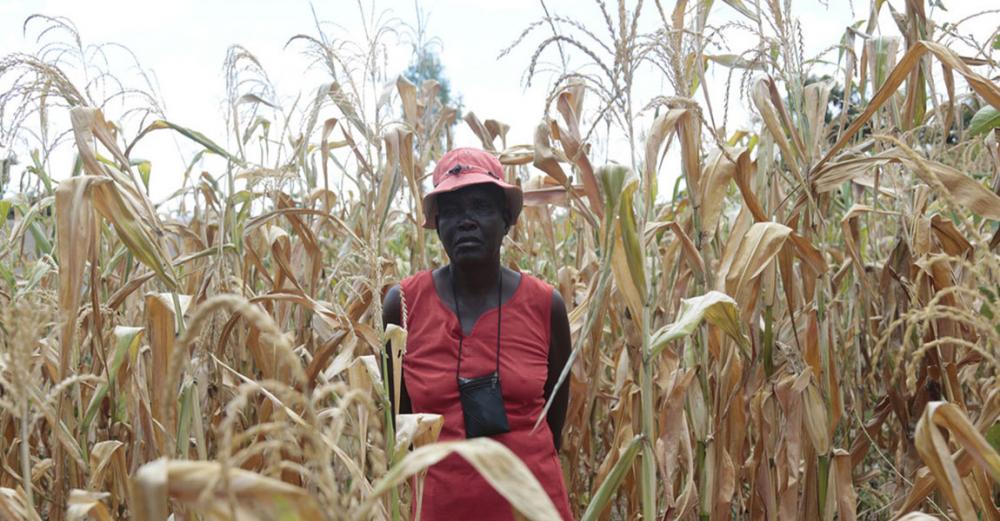 Zimbabwe &lsquo;facing worst hunger crisis in a decade&rsquo;