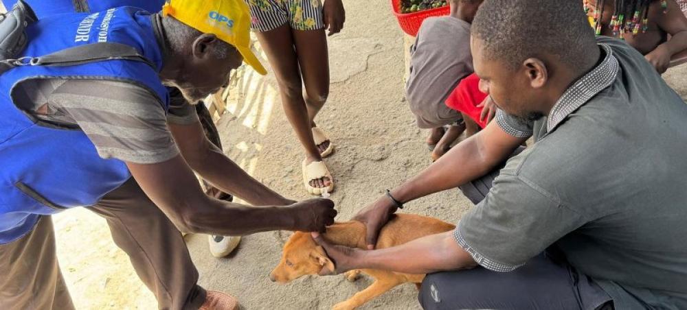 Image of the day: October 6, 2025